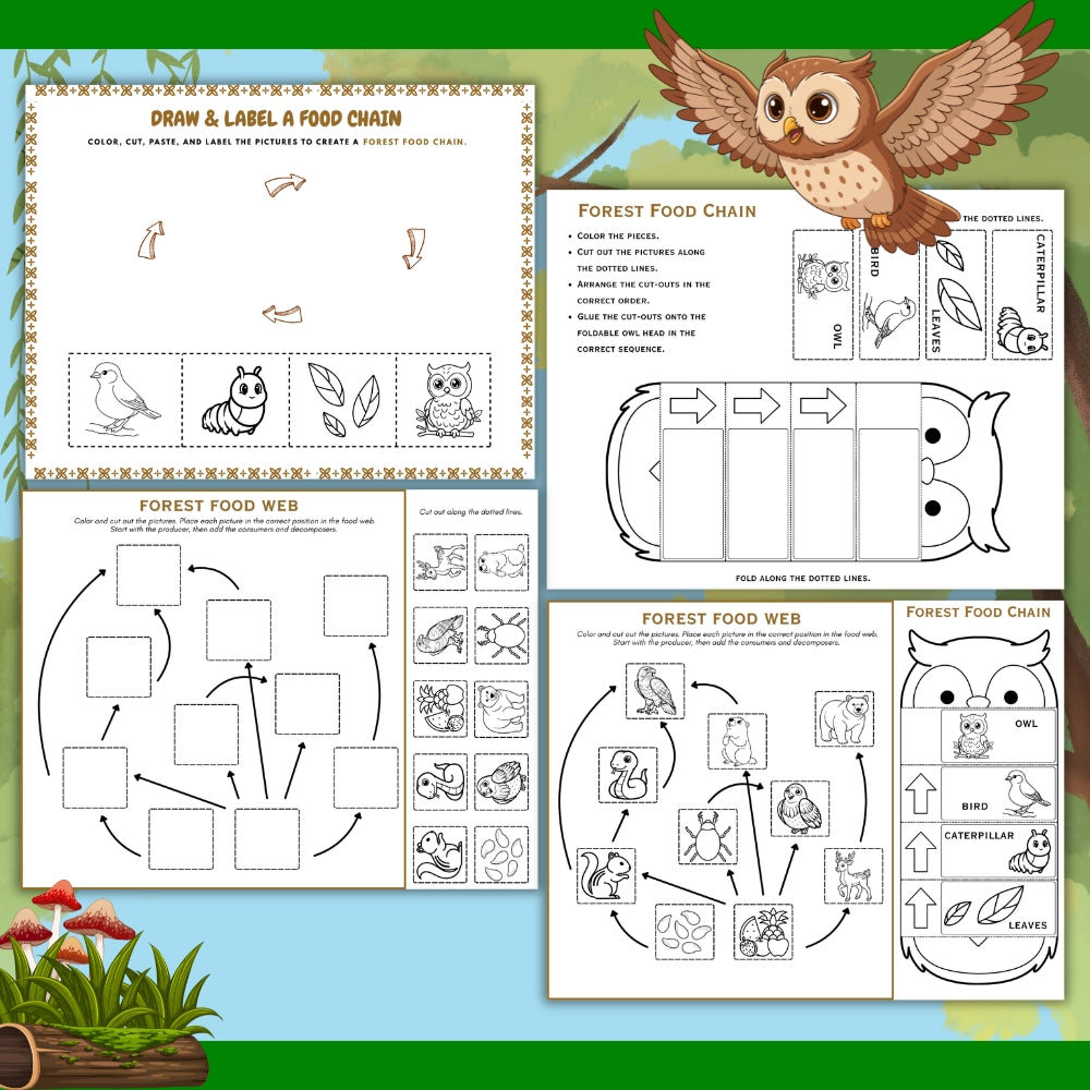 PLR Printable Forest Food Web and Food Chain