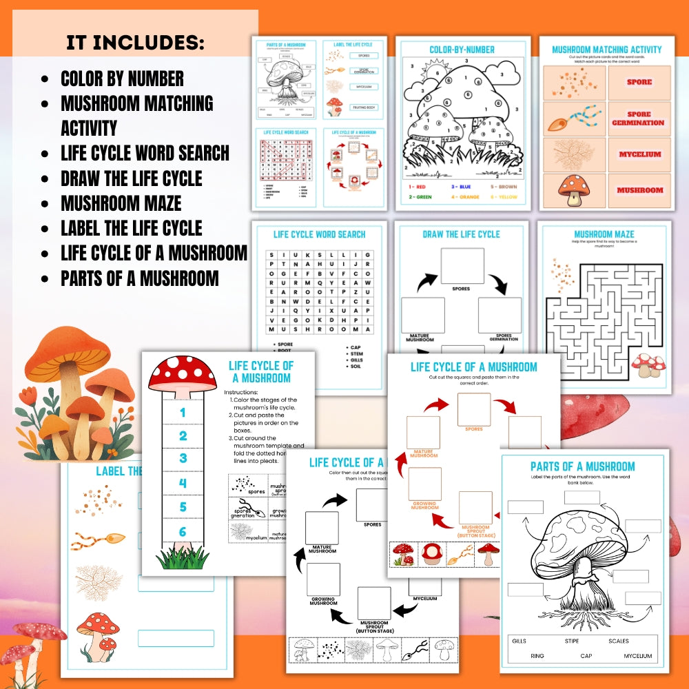 PLR Life Cycle of a Mushroom