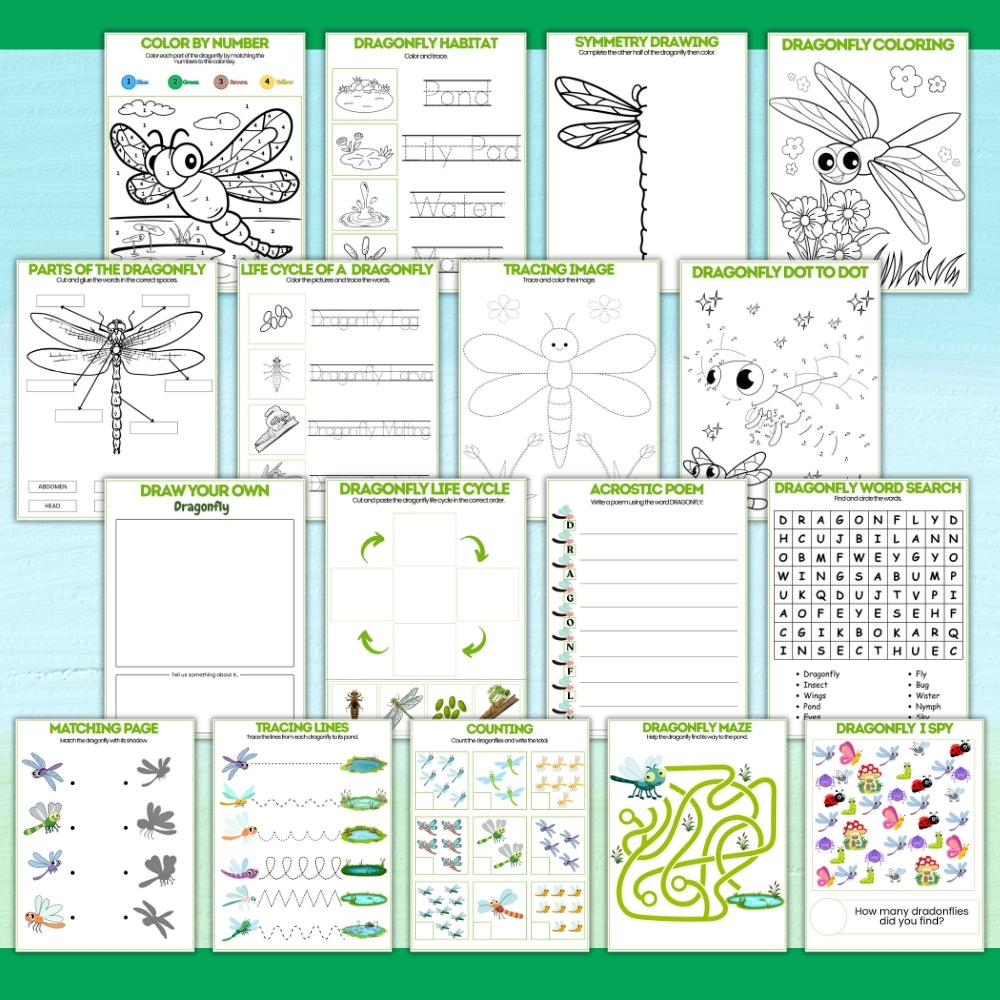 PLR Printable Dragonfly Activity Bundle