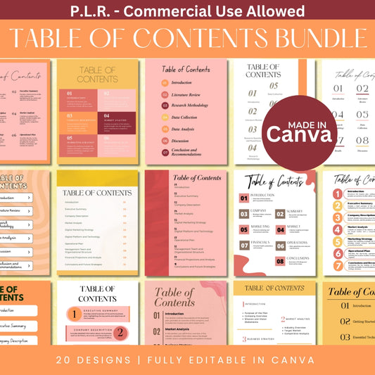 PLR Colorful Table of Content Pages Canva Templates