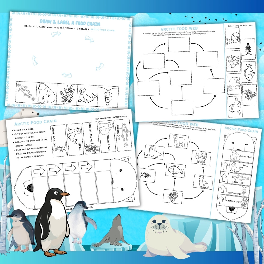 PLR Printable Arctic Food Web and Food Chain