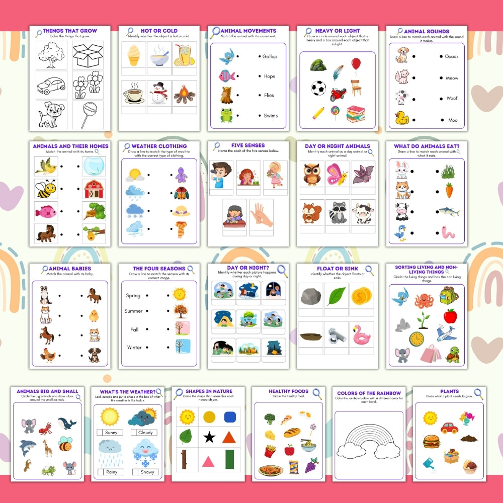 PLR Kindergarten Science Worksheets