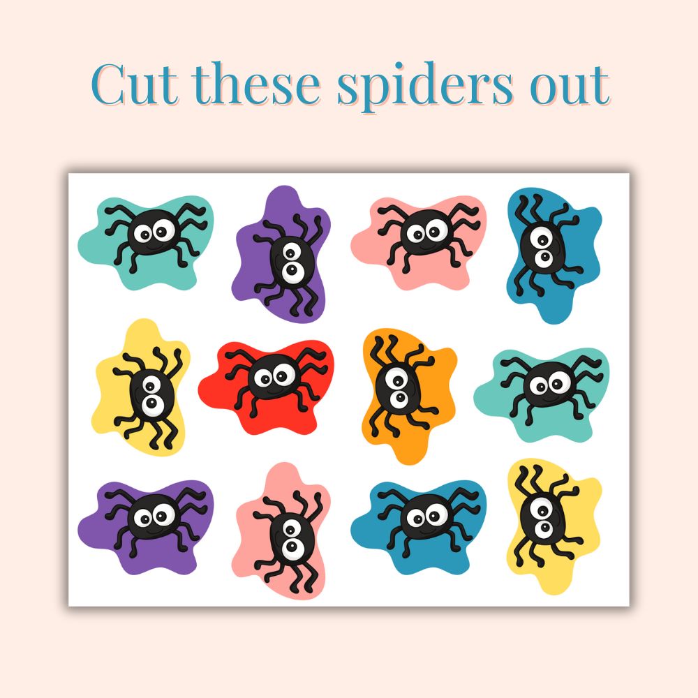 PLR Pin the Spider on the Web