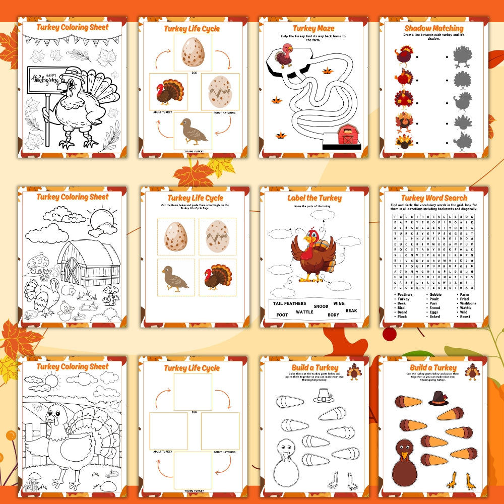 PLR Turkey Facts for Kids Activities