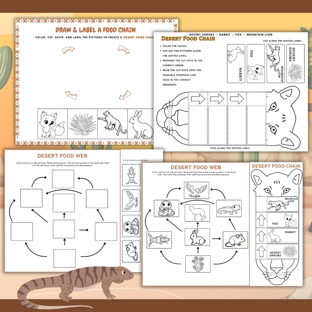PLR Printable Desert Food Web and Food Chain