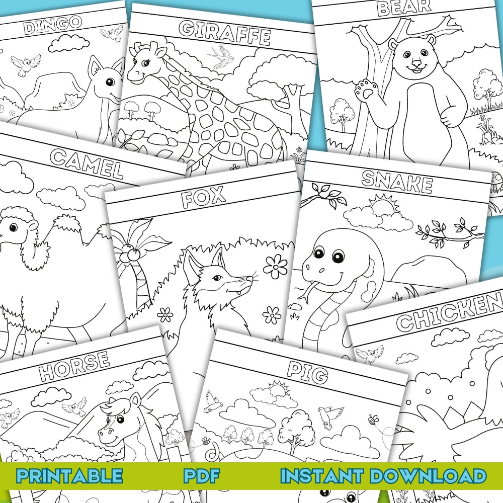 PLR Land Animals Coloring Book