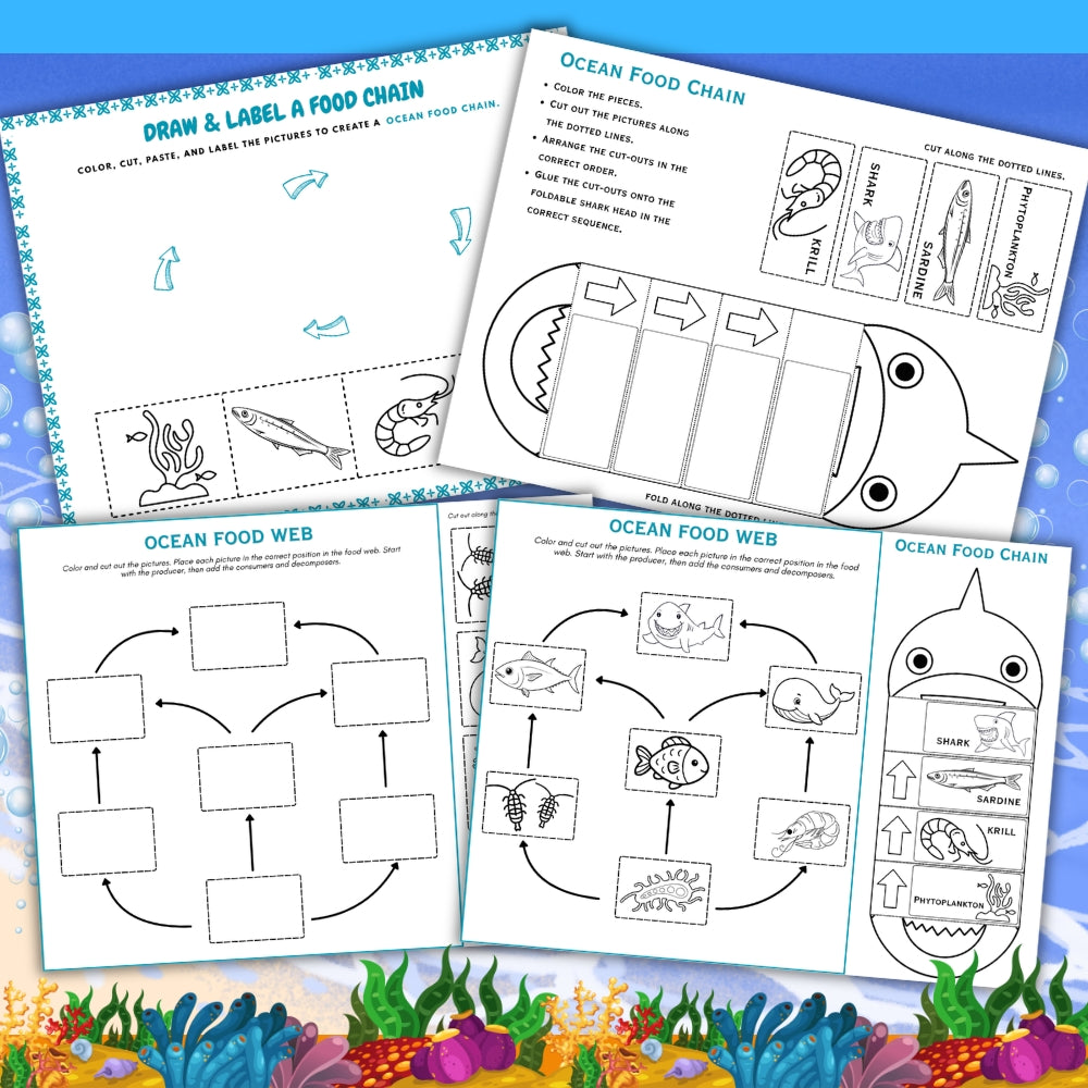 PLR Printable Ocean Food Web and Food Chain