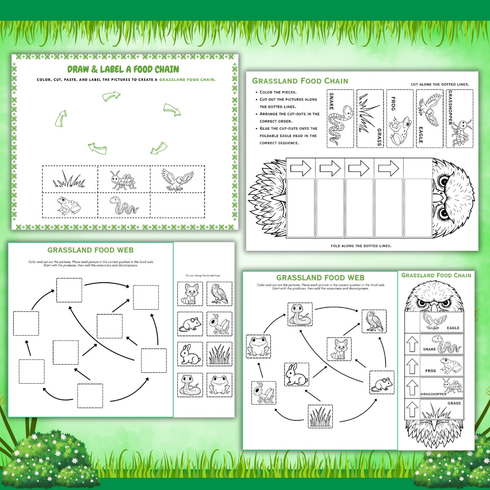 PLR Printable Grassland Food Web and Food Chain