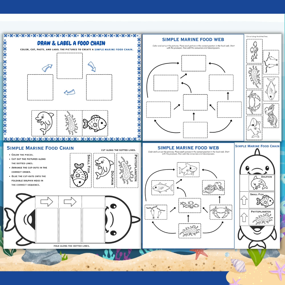 PLR Printable Simple Marine Food Web and Food Chain