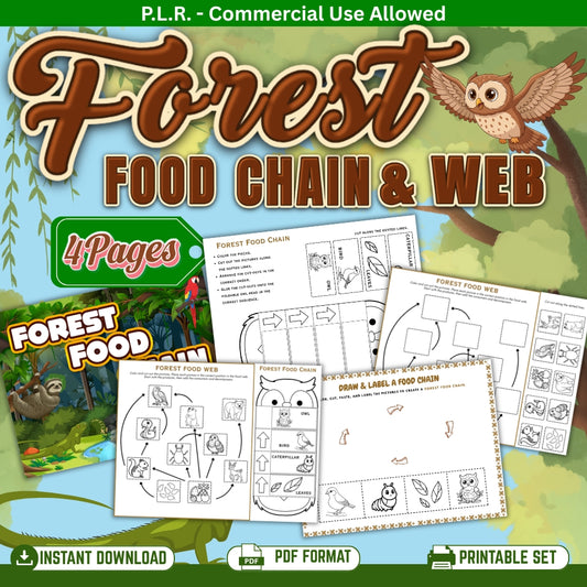 PLR Printable Forest Food Web and Food Chain
