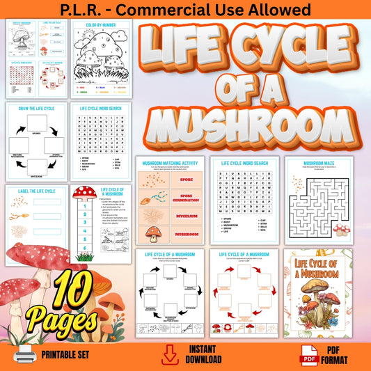 PLR Life Cycle of a Mushroom