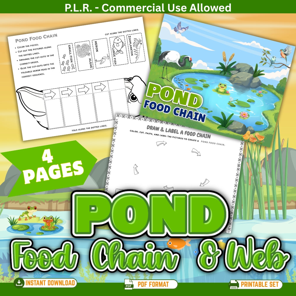 PLR Printable Pond Food Web and Food Chain
