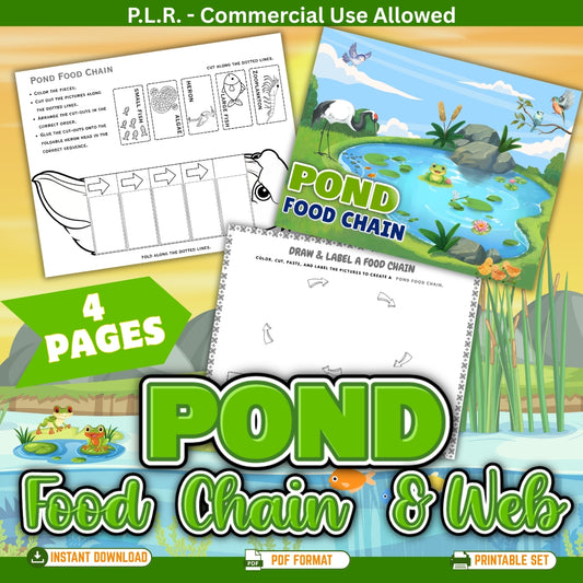PLR Printable Pond Food Web and Food Chain