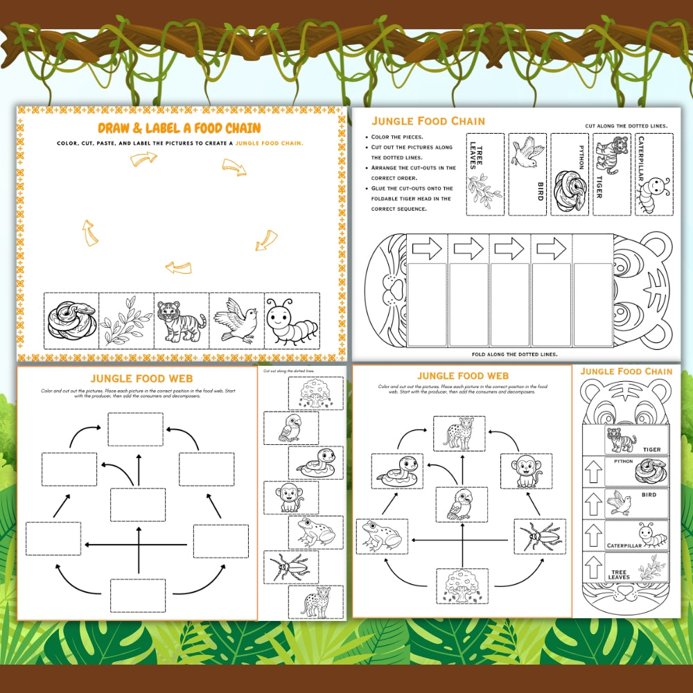 PLR Printable Jungle Food Web and Food Chain